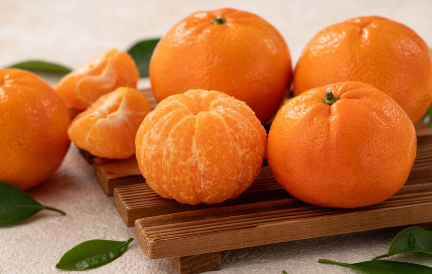 Five mandarin oranges on a cutting board with leaves arranged in a still-life imagte