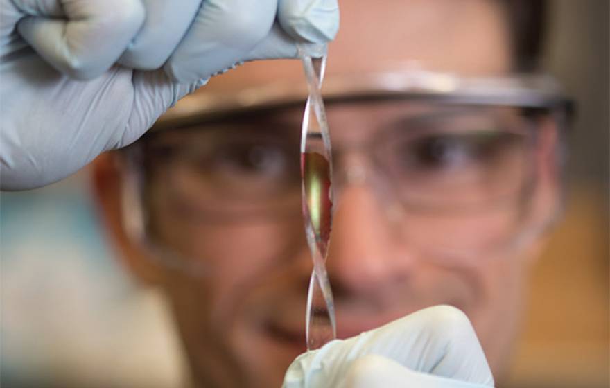 stretchable electronics