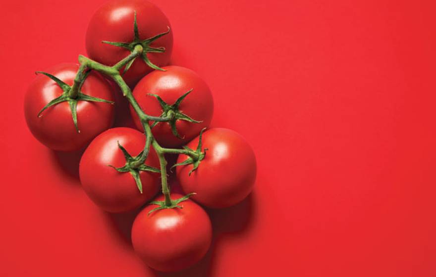 Red tomatoes on a red table