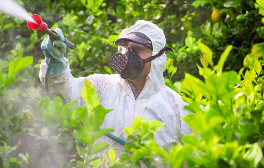 A man in PPE sprays chemicals while surrounded by greenery