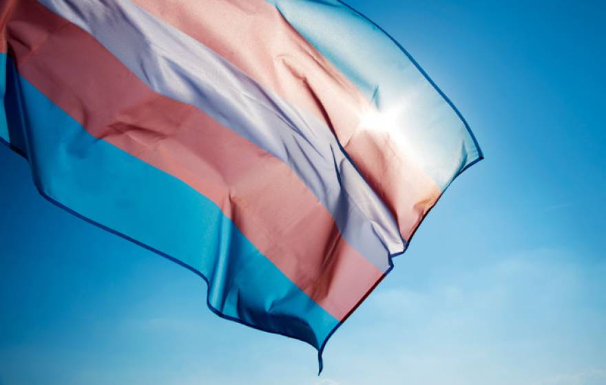 Trans flag flying