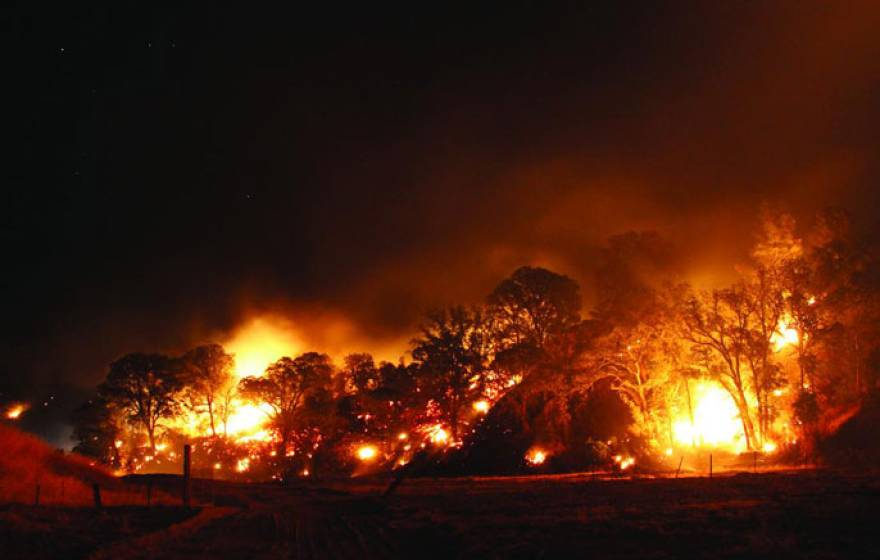 UC Davis fire