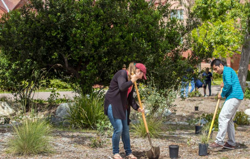 UC Irvine Cool Schools sustainability