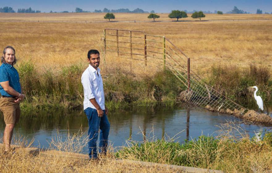 Two researchers and a heron in a ditch