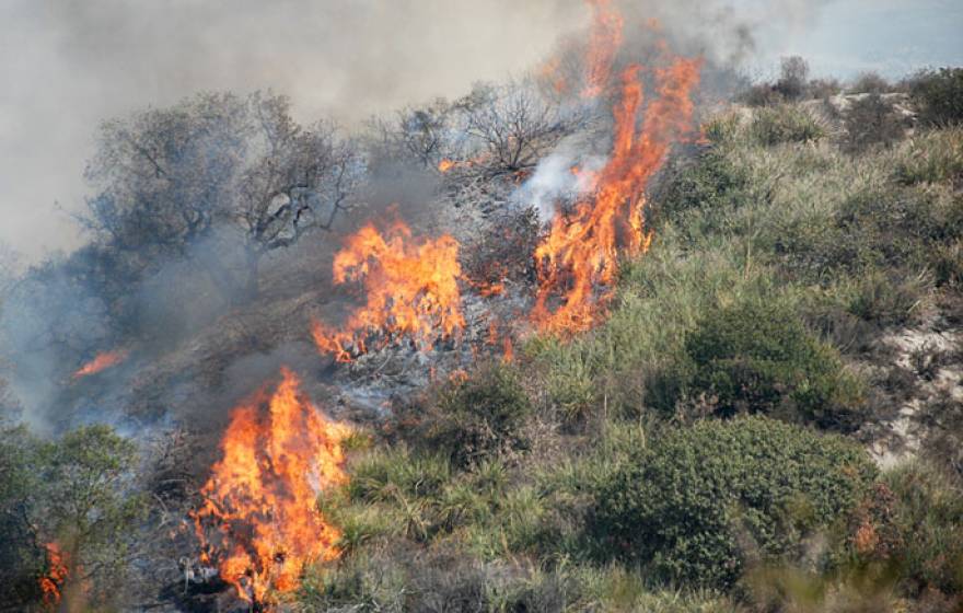 UC Riverside wildfire