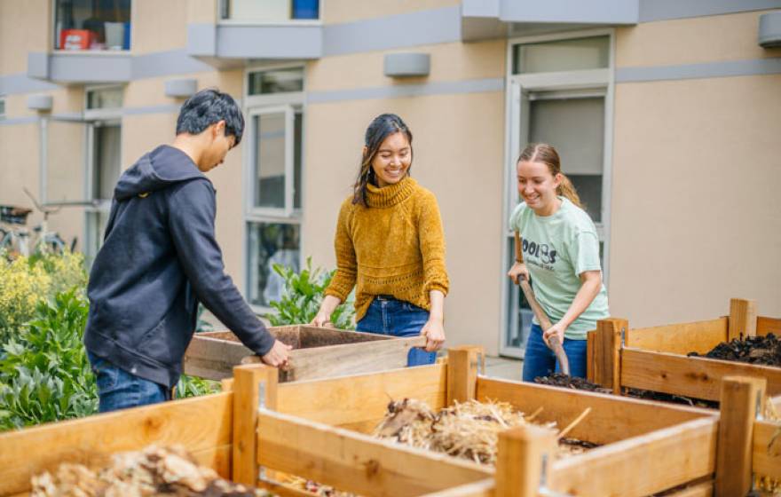 Students at work in Ellie's Garden