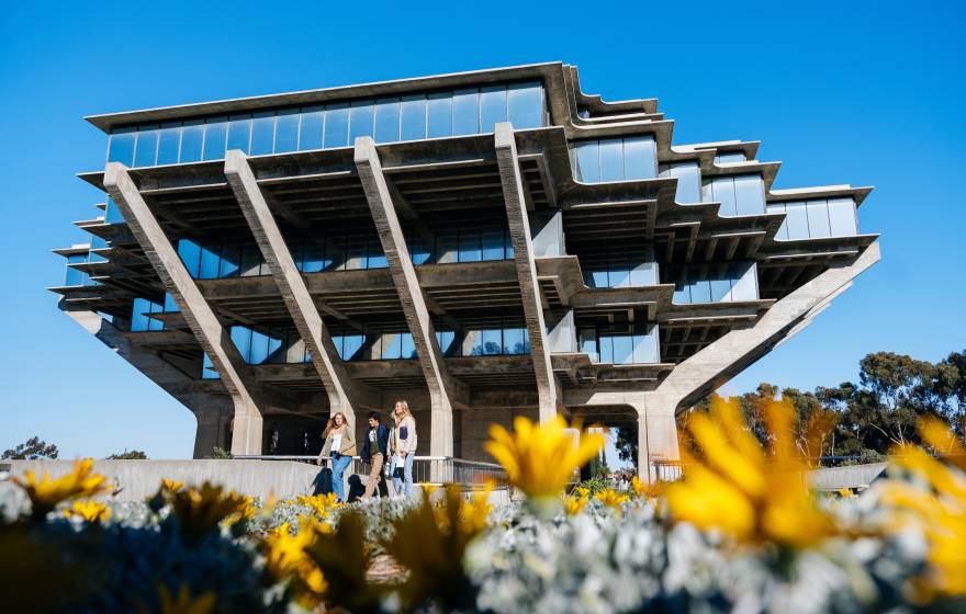 Three people walk out of the UC San Diego Geisel Library, with bright yellow wildflowers in the foreground