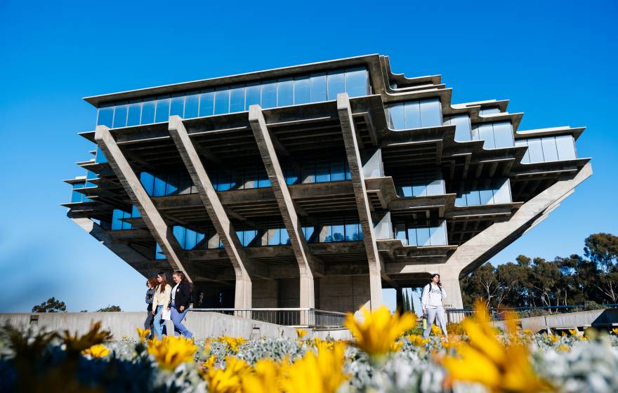Geisel Library at UC San Diego with yellow flowers in the foreground