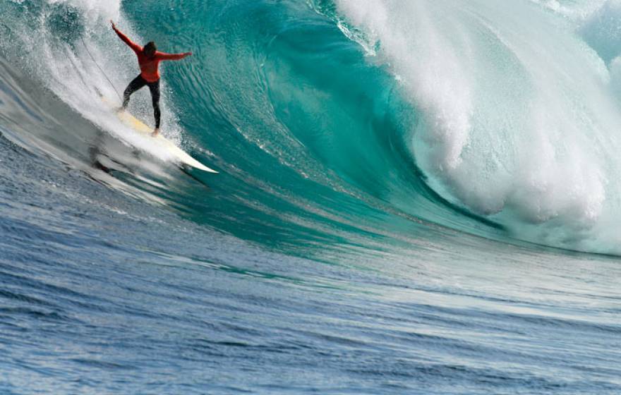 UC San Diego surfer