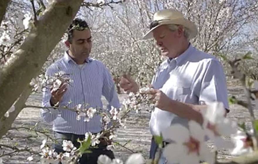 farmers in orchard