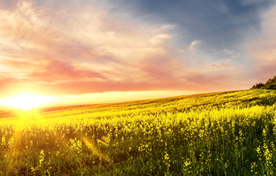 Farm at sunset