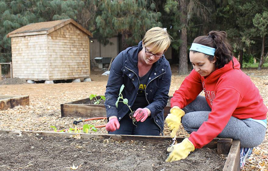 Britta Hansen, left, and Elise Brockett plant okra and other vegetables at the UC Davis Horticulture Innovation Lab Demonstration Center, in advance of its Oct. 16 grand opening. 