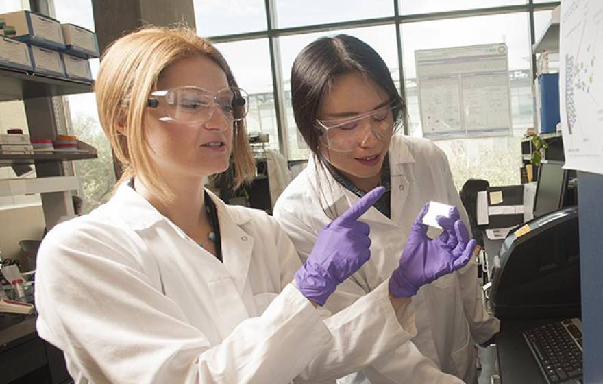 Food scientist Daniela Barile and graduate student Tian Tian study milk sugar compounds as part of a study showing the role these compounds play in nourishing health-promoting gut microbes in infants.