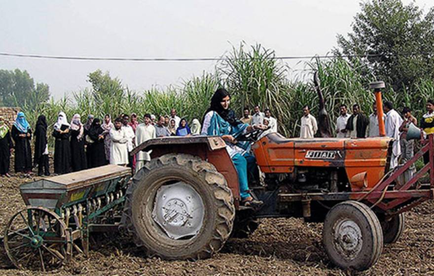 Agriculture, including vegetables, grain and fruit crops, is the largest sector of Pakistan's economy.