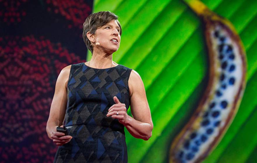 In a TED talk, Pamela Ronald describes her decade-long quest to isolate a gene that allows rice to survive prolonged flooding.