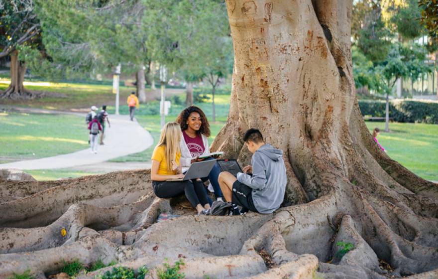 Three students sit under a tree on the Irvine campus