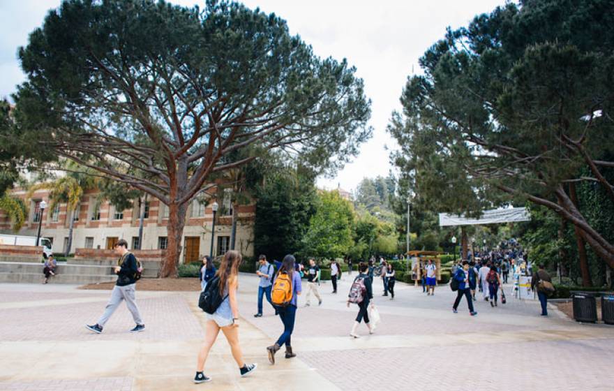 UCLA campus shot