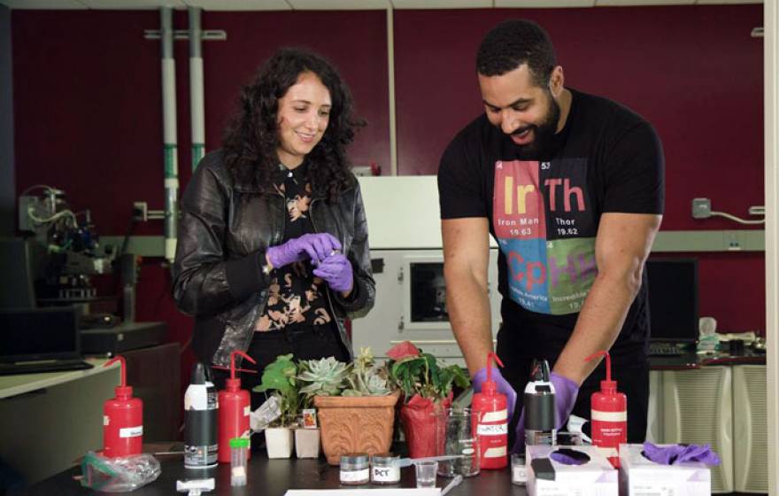 A man and a woman conduct a scientific experiment