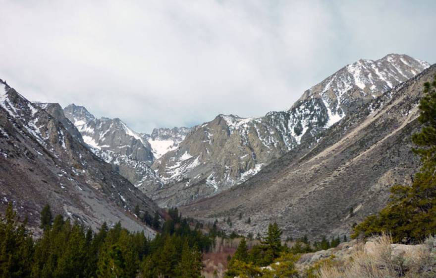 Sierra Nevada UCLA