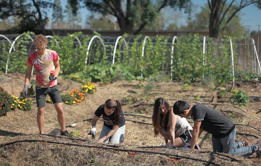 Students taking a new course on food justice at UCLA learn about the topic from the ground up. The course is part of a new food studies minor, one of a growing number of interdisciplinary programs that have become popular to take.