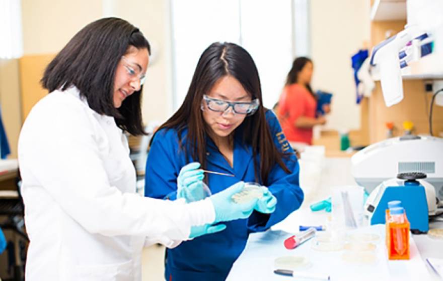 UC Merced professor Clarissa Nobile (left) will lead the Valley fever study.