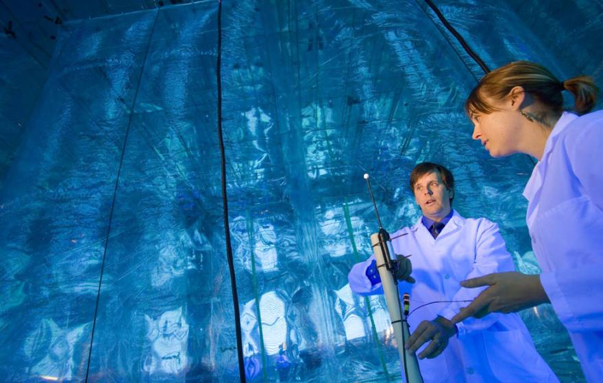 Two researchers in a lab with a bright blue glowing wall