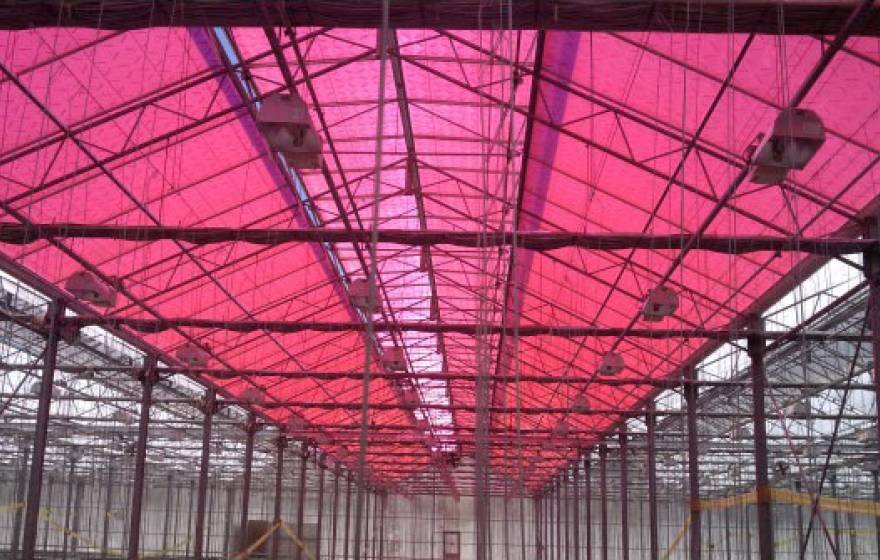 UC Riverside greenhouse