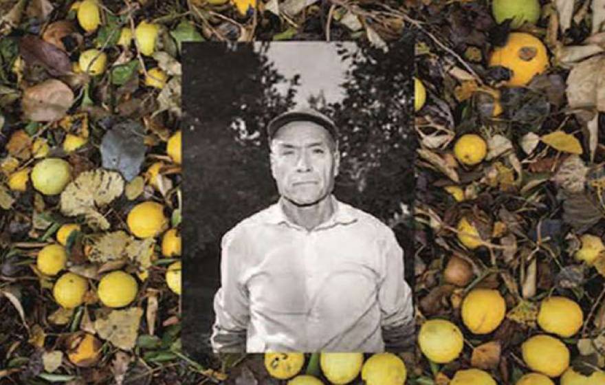 UCR researchers are uncovering hidden histories to help California Citrus State Historic Park tell a more inclusive story of the region’s citrus industry and use creative means to draw attention to it. This image is from “Manos, Espaldas y Blossoms (2017)