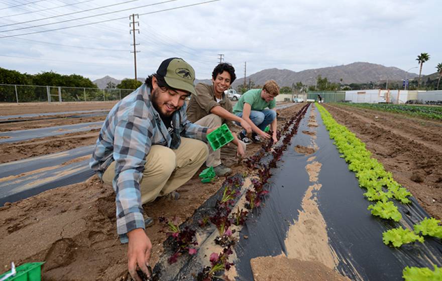 The GrowRIVERSIDE conference will feature a tour of UC Riverside’s R’Garden.