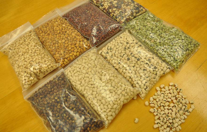 Cowpeas come in many varieties.