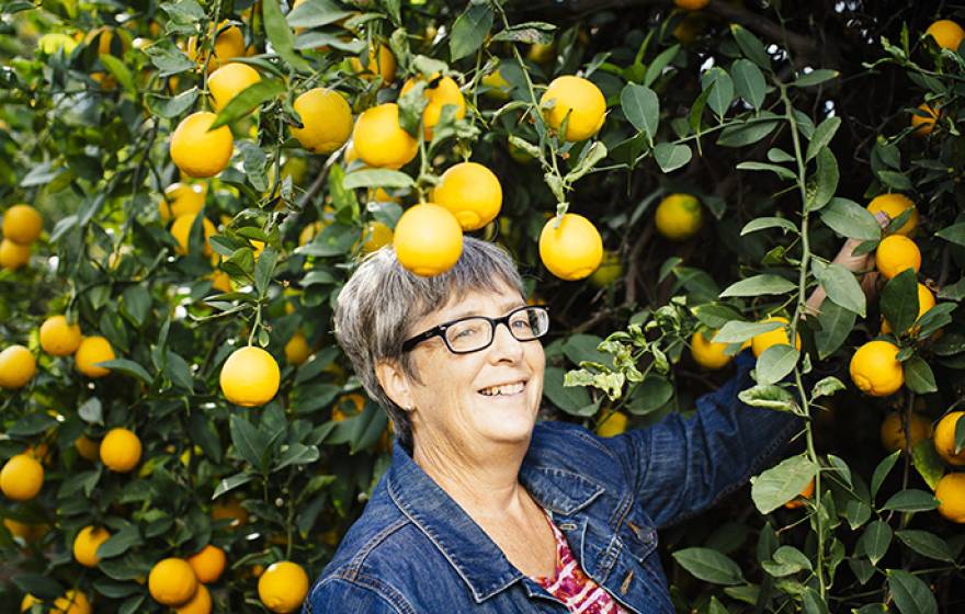 Tracy Kahn, curator of UC Riverside's Citrus Variety Collection