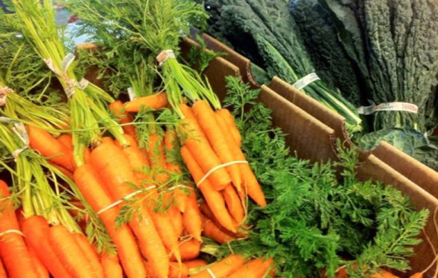 The inaugural California Higher Education Food Summit is being hosted by UC Santa Barbara&#039;s AS Food Bank in collaboration with teams from UC Santa Cruz and UC Berkeley.