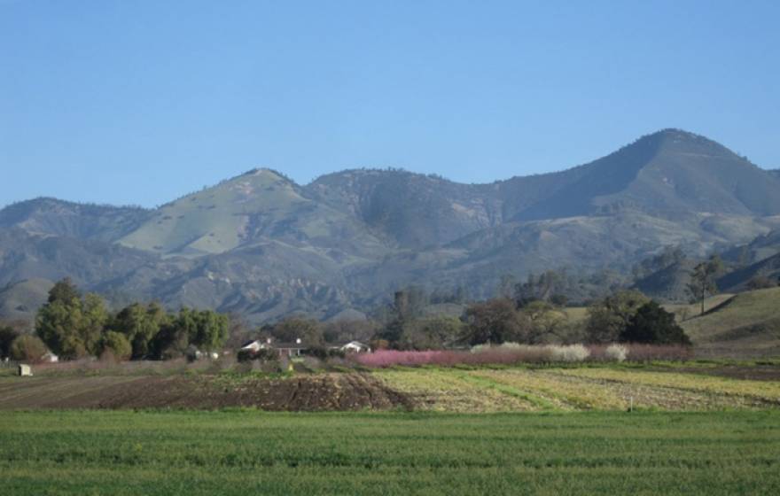 UC Santa Barbara computer scientist Chandra Krintz is testing her SmartFarm technology at Sedgwick Reserve, pictured, among other locations in the region.