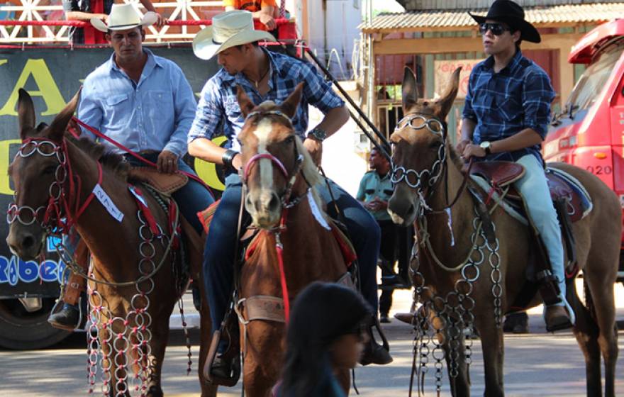 Cowboys of Western Amazonia