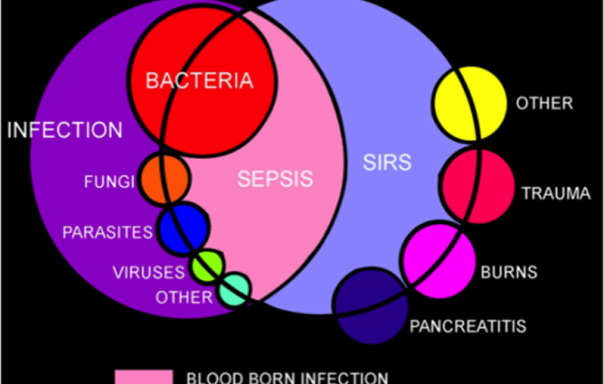 Venn diagram portraying relationships, including infection, bacteremia, sepsis and the Systemic Inflammatory Response Syndrome.
