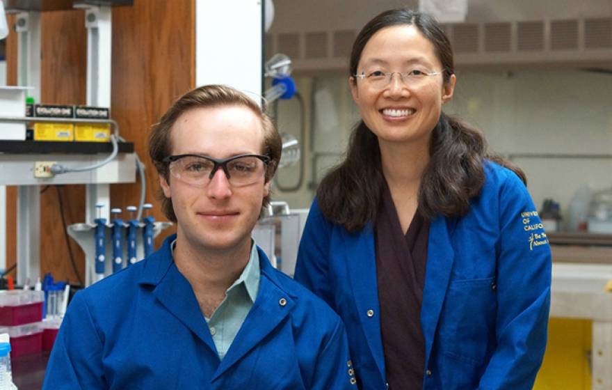 UC Santa Barbara's Irene Chen (right) was among the university's recipients of NIH's high-risk, high-reward research grants.
