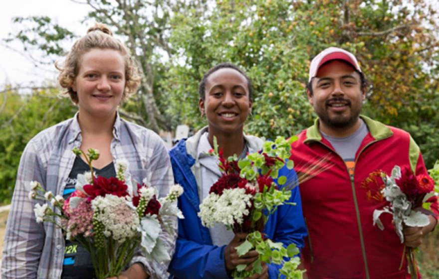 Applications are now being accepted for the 2017 Apprenticeship in Ecological Horticulture at UC Santa Cruz, now in its 50th year, the longest running university-based organic farming and gardening training program in the U.S.