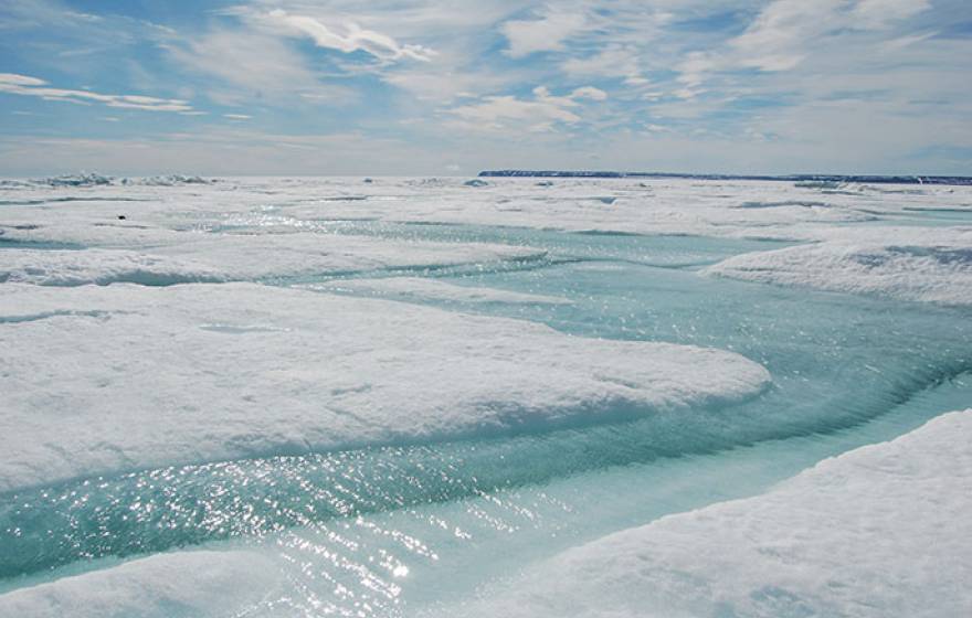 coastal sea ice, Arctic Ocean