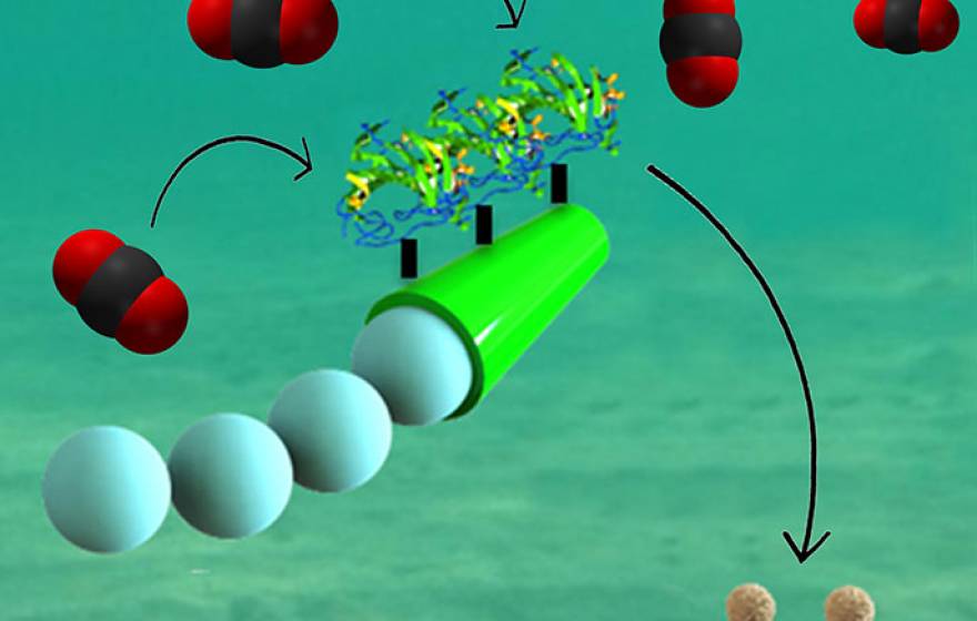 CO2 micromotor graphic