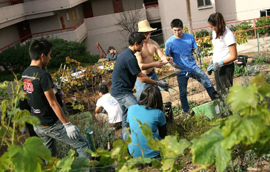 Students gardening