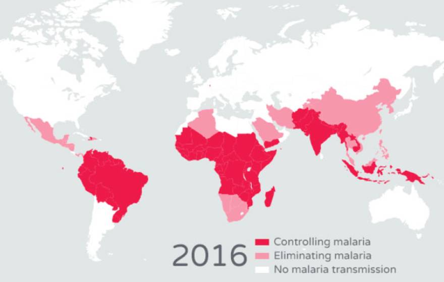 UCSF malaria 