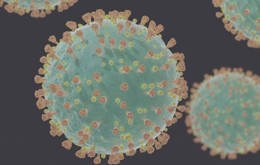 Coronavirus illustration