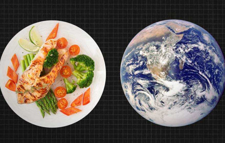 diet climate change UC
