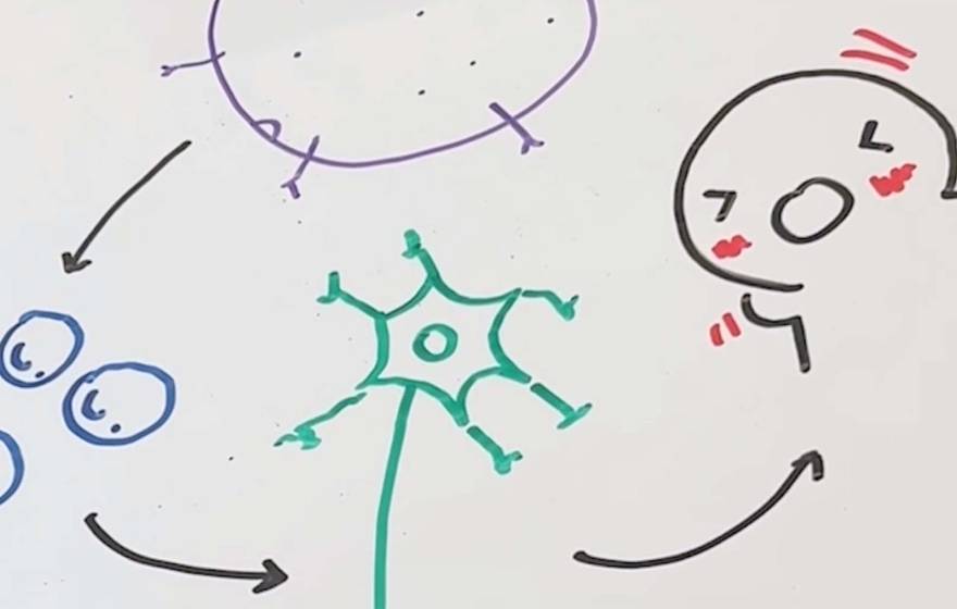 Illustration with whiteboard markers of a little cartoon agitated by itch and how the nervous system works on a whiteboard