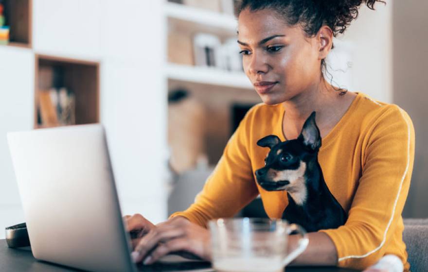 Young Black woman with small dog working on computer together