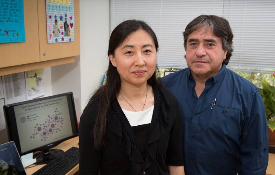 Researchers Yang and Gomez Pinilla