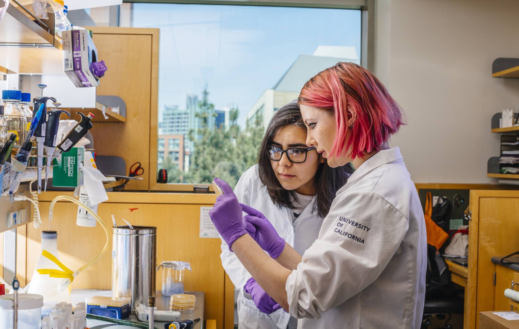 Students in a lab at UC San Francisco