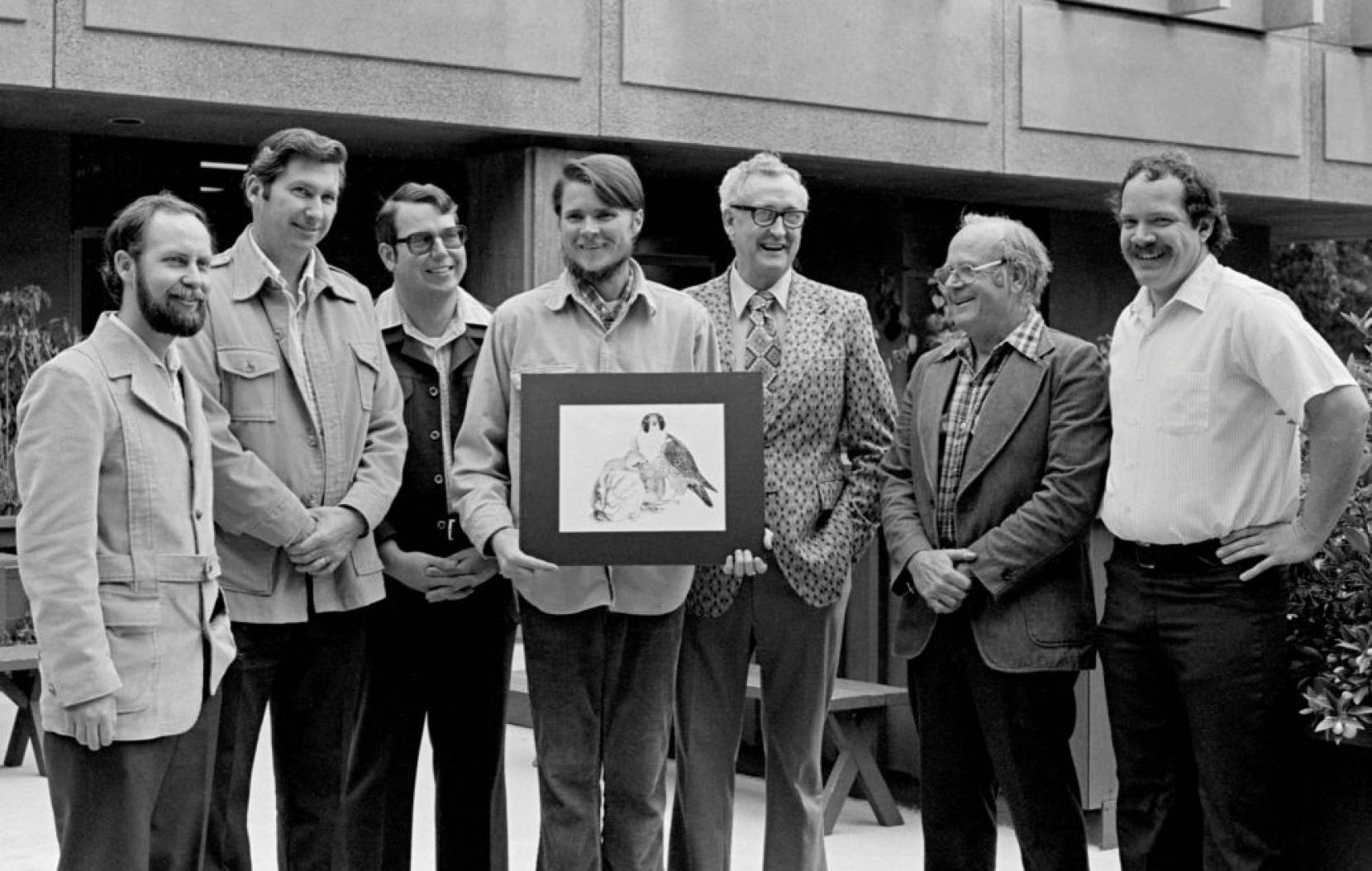 A black and white photograph of 7 men in the 1970s on the UC Santa Cruz campus; in the middle, Brian Walton holds a portrait of a peregrine falcon
