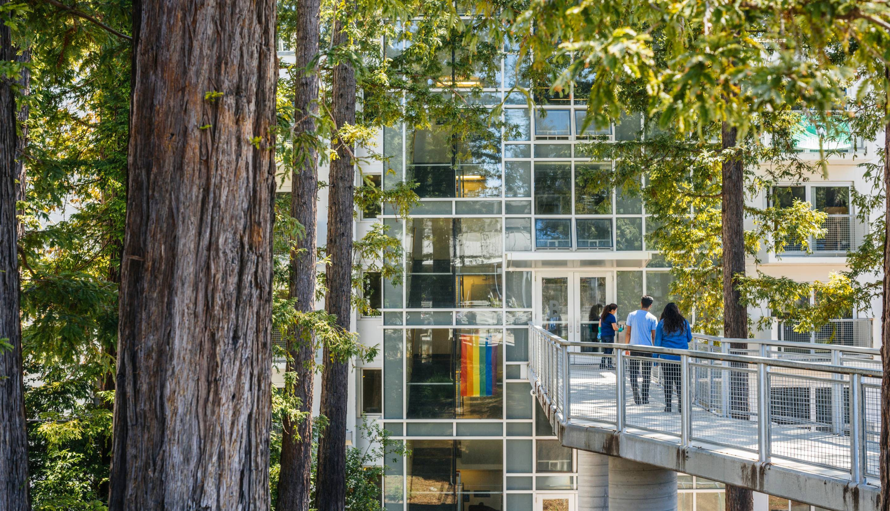 Students walking towards a glass building with redwood trees surrounding it. 