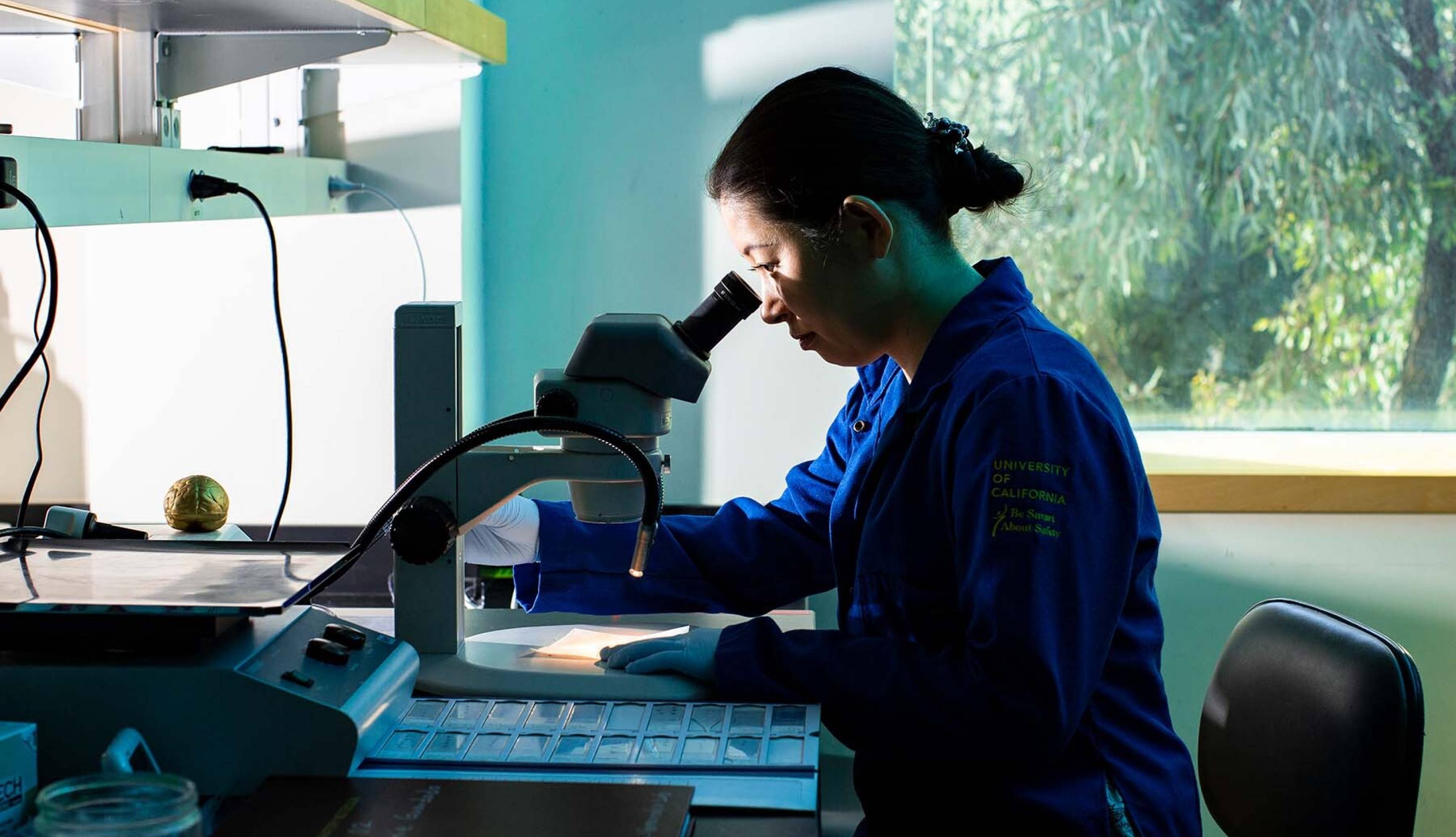 Researcher in a lab looking in a microscope 